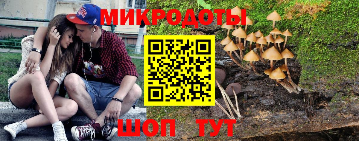 Галлюциногенные грибы MAGIC MUSHROOMS Гай