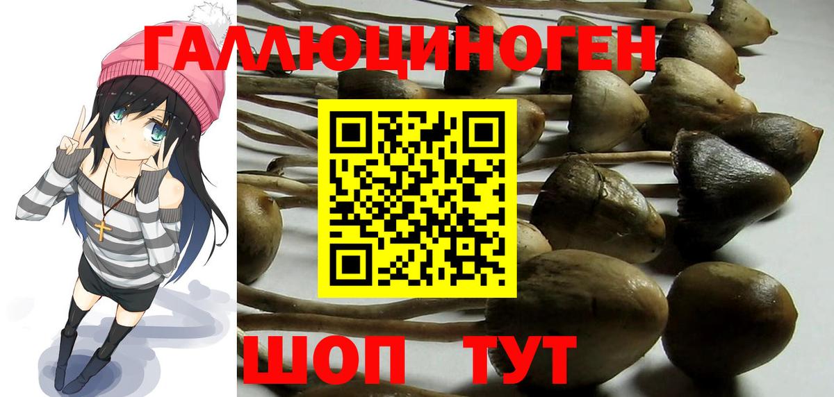 Псилоцибиновые грибы Magic Shrooms  Вход с VPN  Гай 